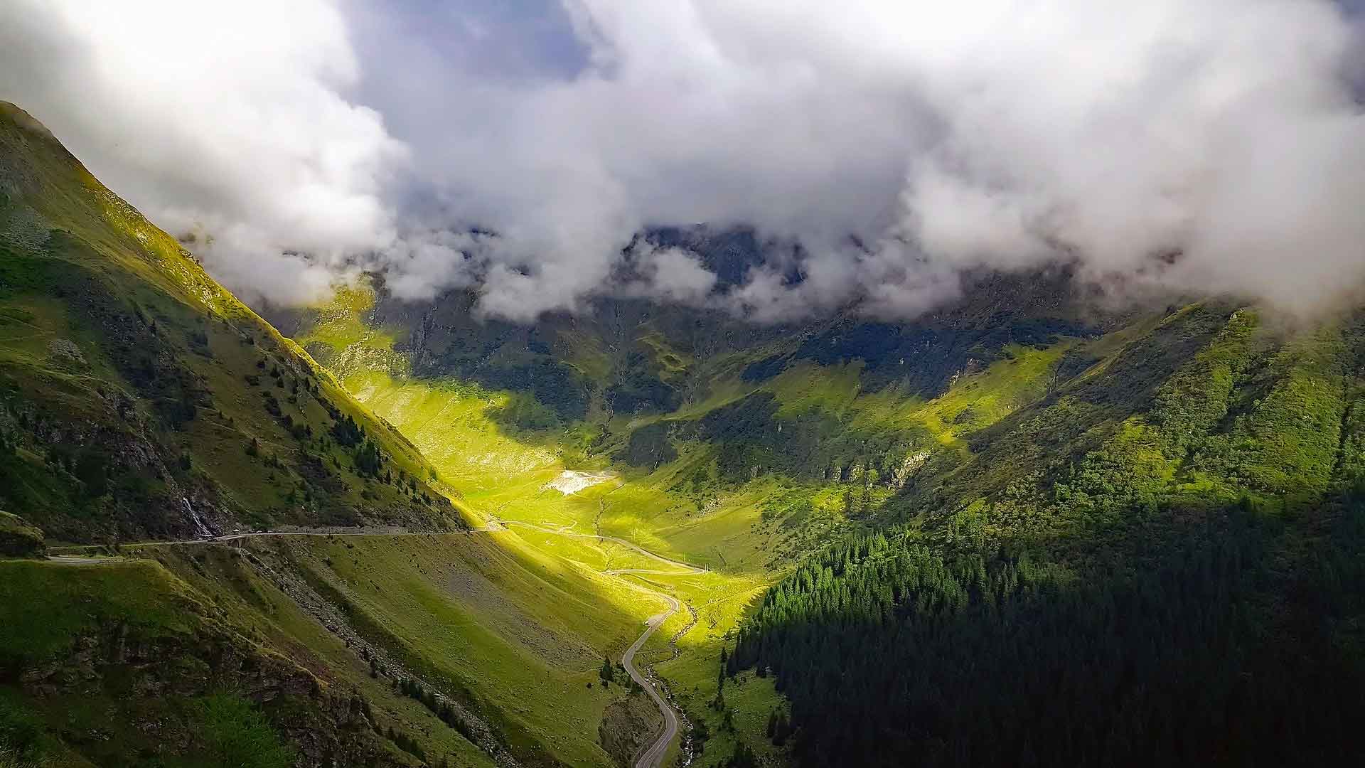 Infoteca - Anunță lumea!